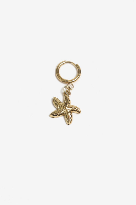 Charm SeastarAnita Hass - Anita Hass