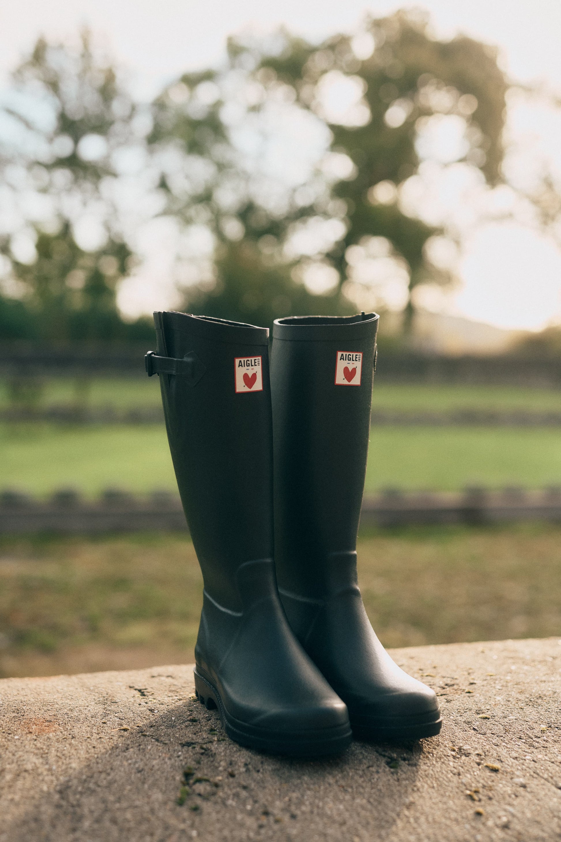 Regenstiefel 'Heart' in OlivAigle x Anita Hass - Anita Hass