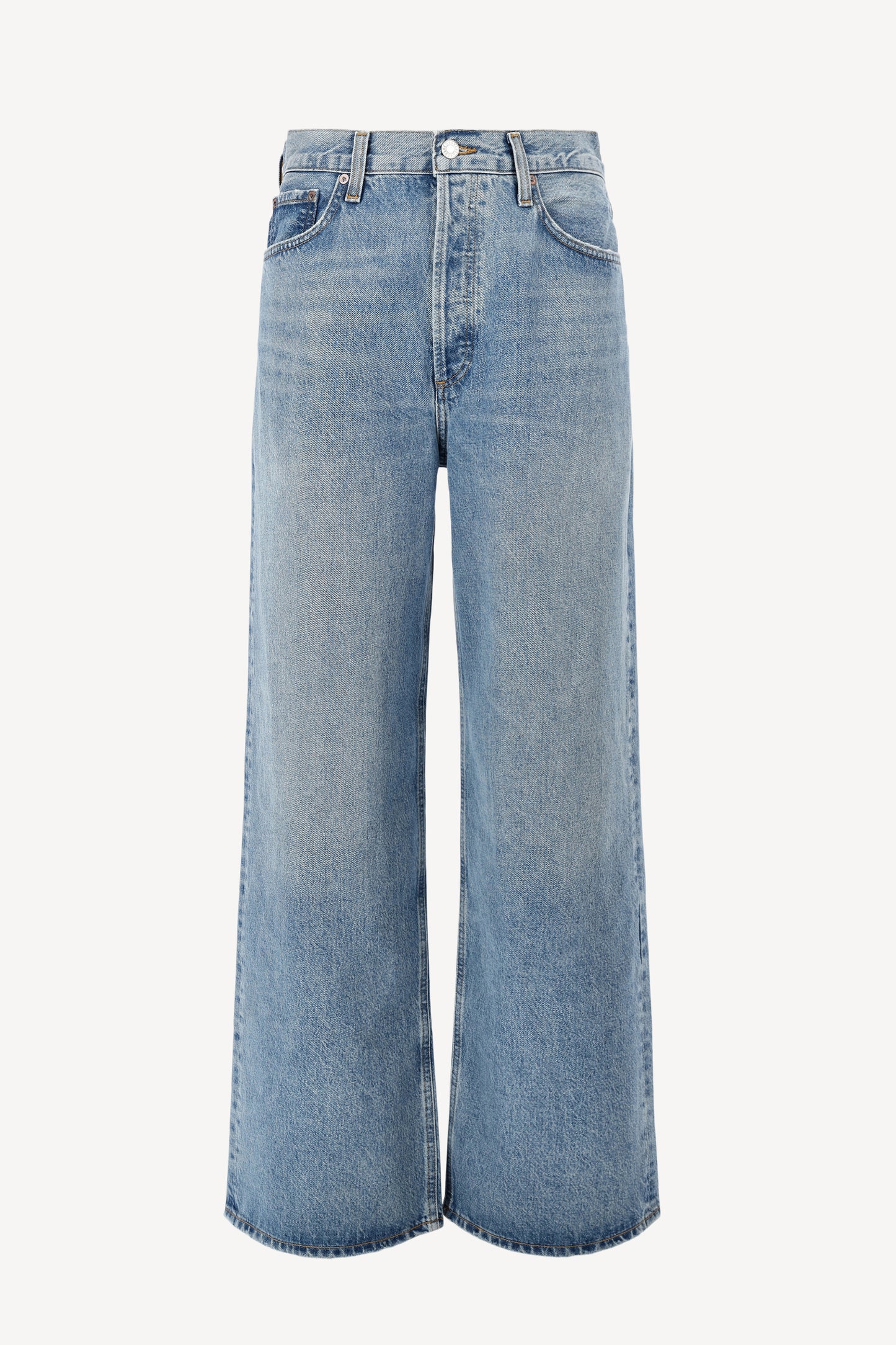 Jeans Low Slung Baggy in LibertineAgolde - Anita Hass