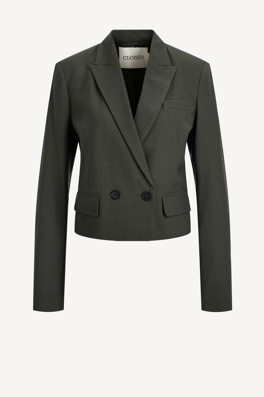 Blazer Fitted in Green WeedClosed - Anita Hass