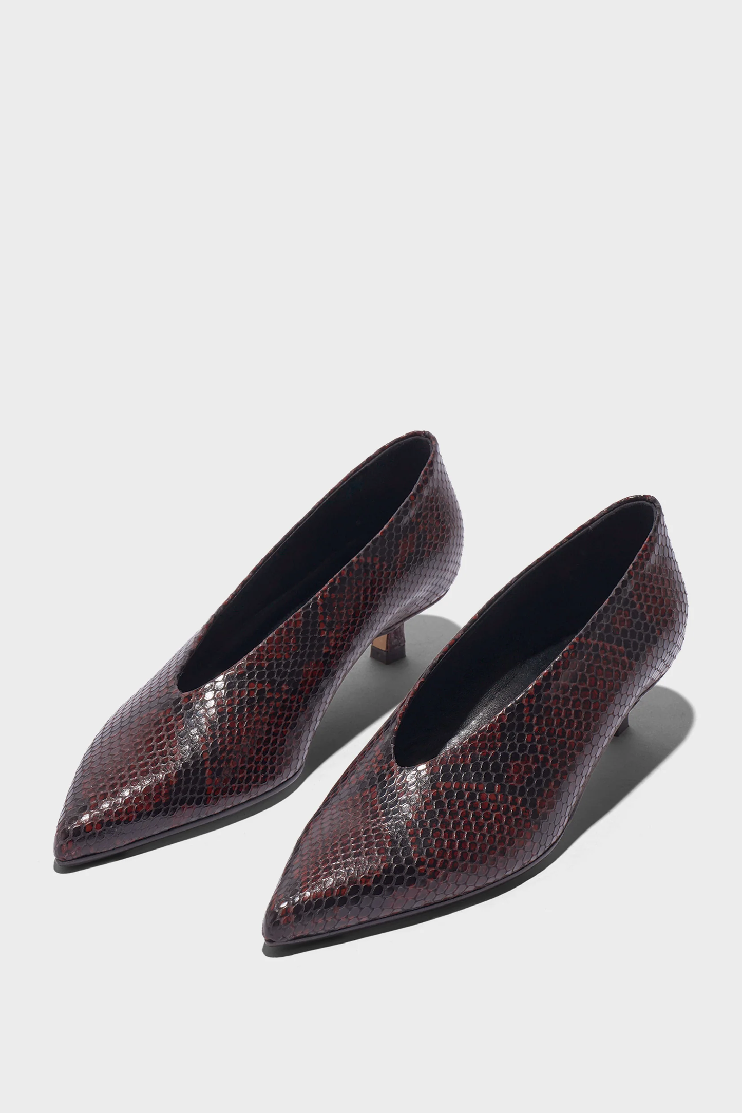 Kitten Heel Clara in Snake Port Aeyde