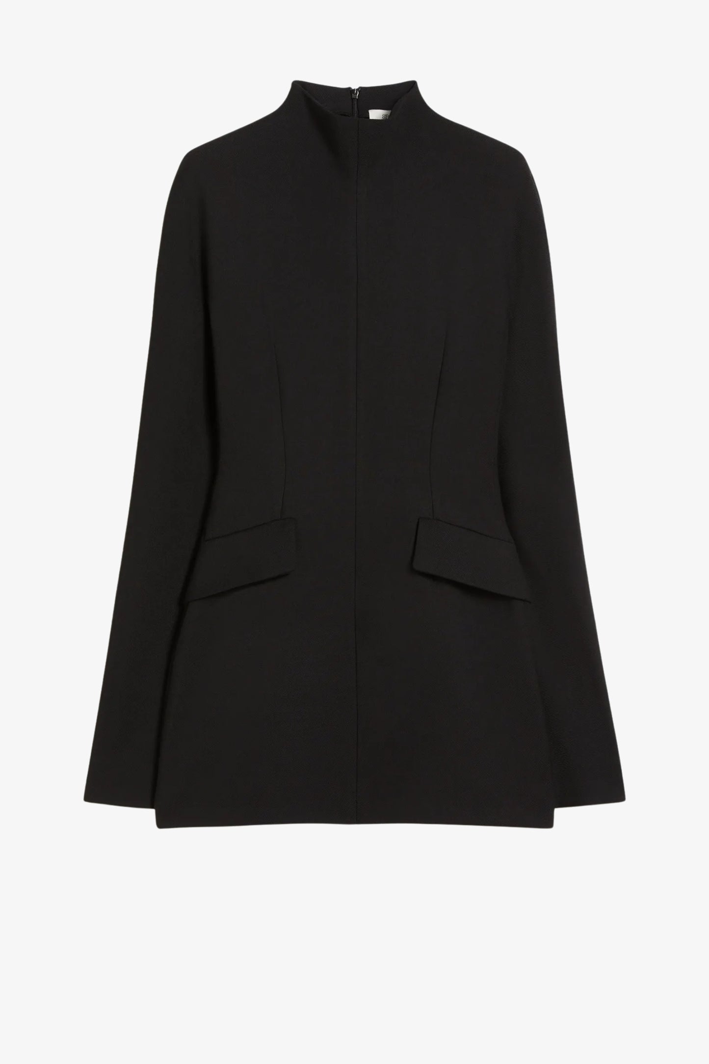 Kleid Tefrite in Schwarz Sportmax