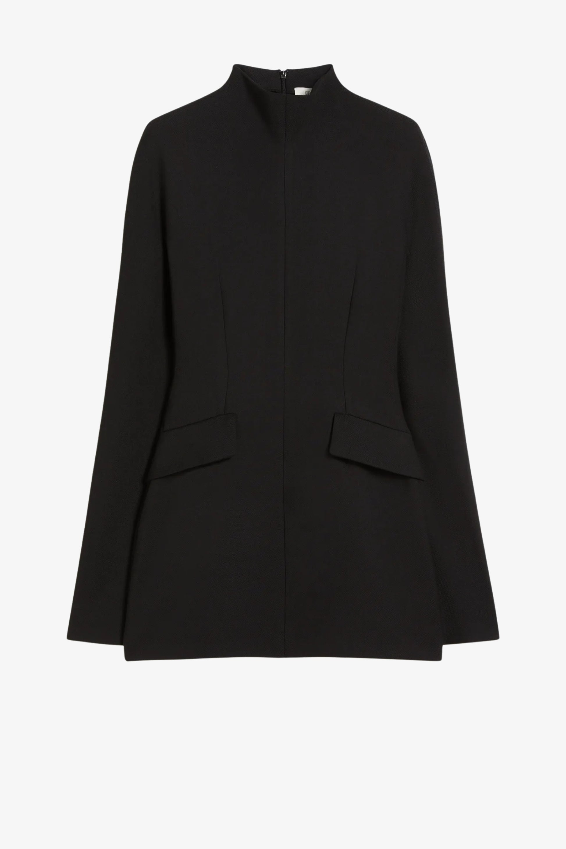 Kleid Tefrite in Schwarz Sportmax