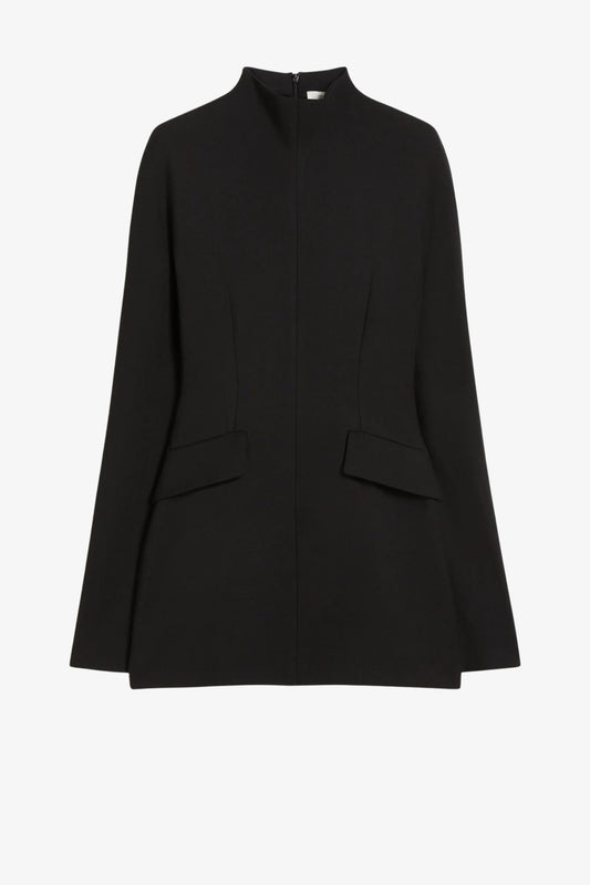 Kleid Tefrite in Schwarz Sportmax